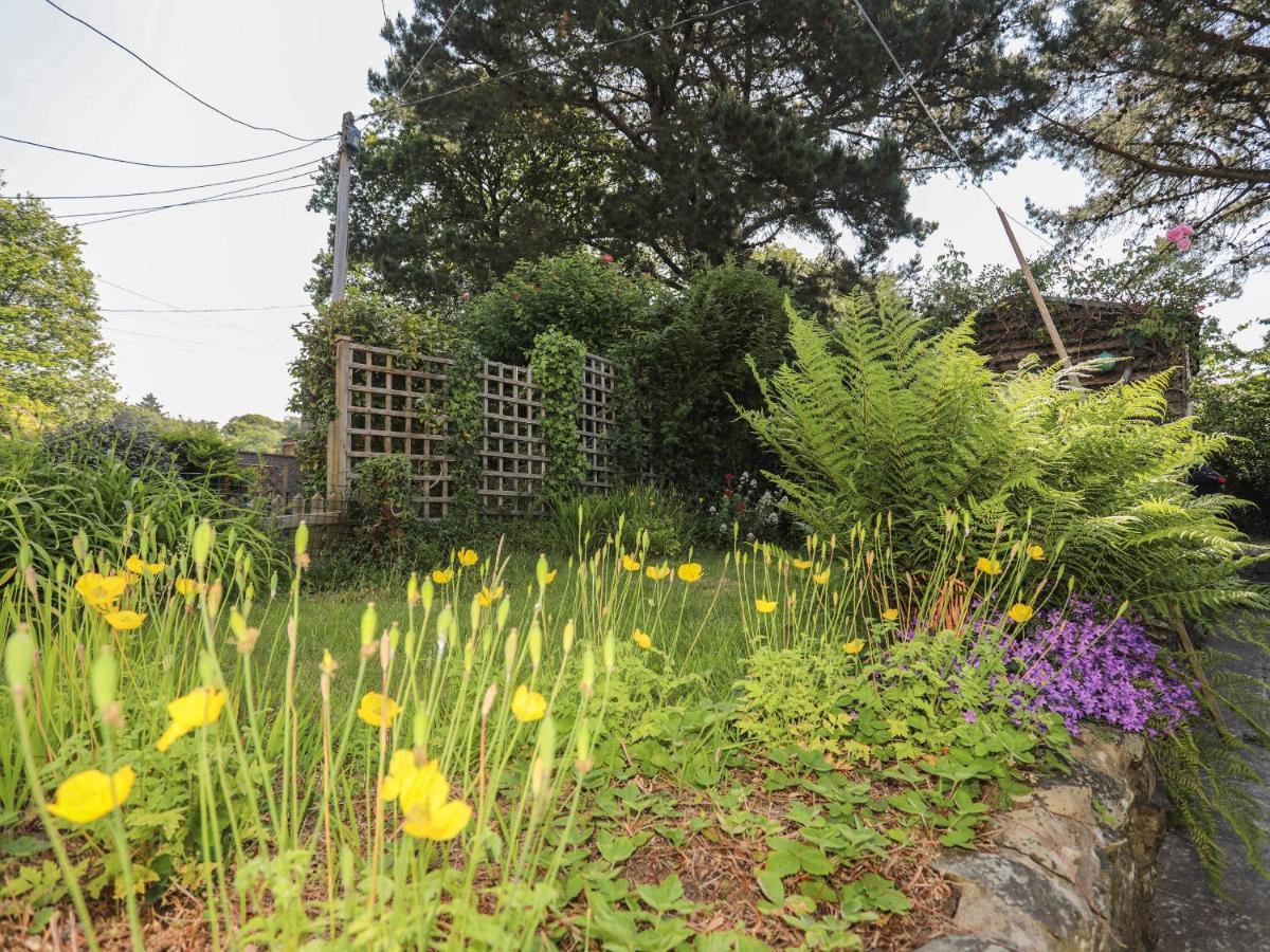 6 Maen Y Wern Villa Criccieth Exterior photo